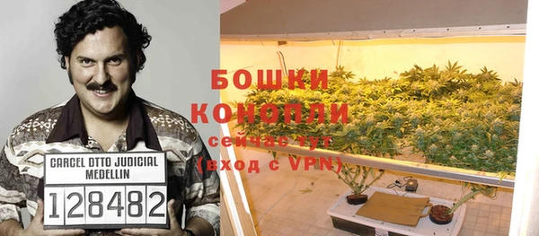 спайс Баксан
