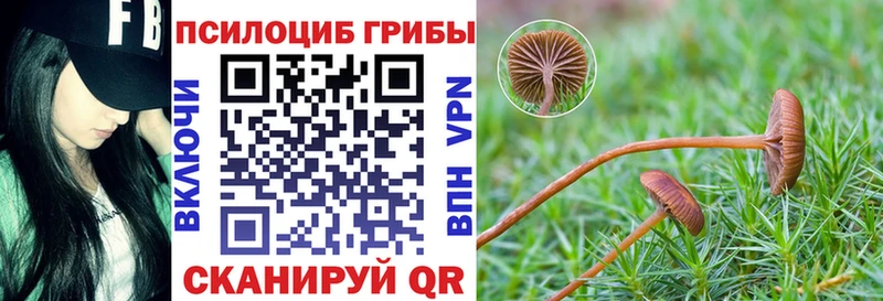 Галлюциногенные грибы мицелий  Купить закладки  Среднеколымск 